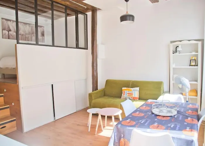 Charming Apartment Rue Des Rosiers